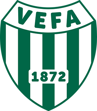 Vefa Logo n