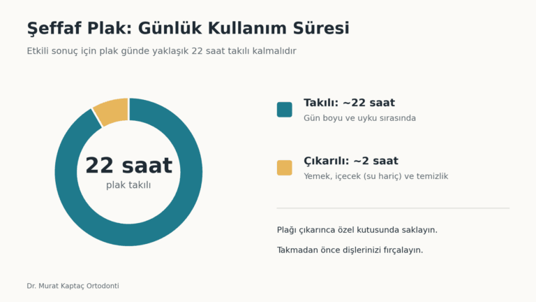 seffaf plak gunluk kullanim infografik